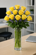 Continental Divide Dozen Yellow Roses